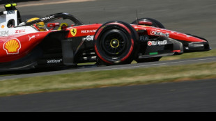 Hamilton sparkles in Silverstone sunshine