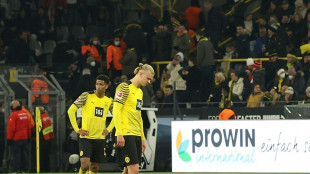 BVB entt&auml;uscht die Gelbe Wand - Lehrstunde von RB