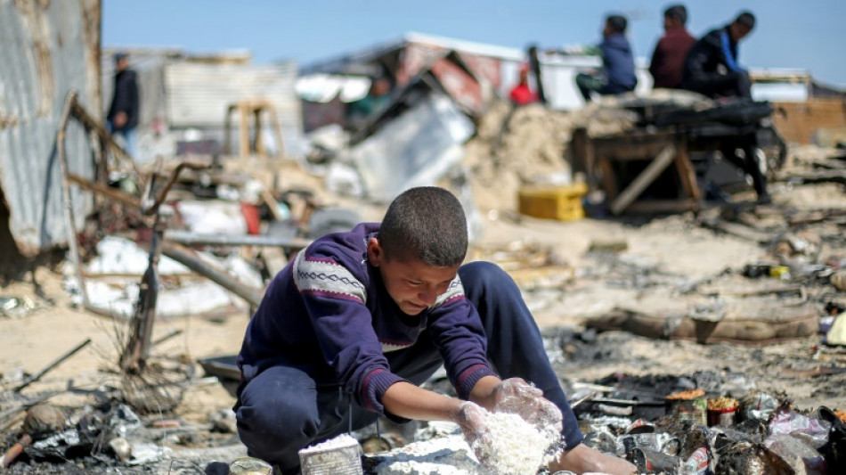 Em uma Gaza afetada pela fome, palestinos recorrem à carne de tartaruga