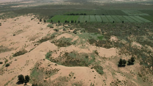 La "Grande muraille verte" de Chine: un pari &eacute;cologique massif, mais &agrave; quel prix ?