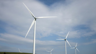 L'Etat poursuivi pour "faiblesse" dans les &eacute;nergies renouvelables