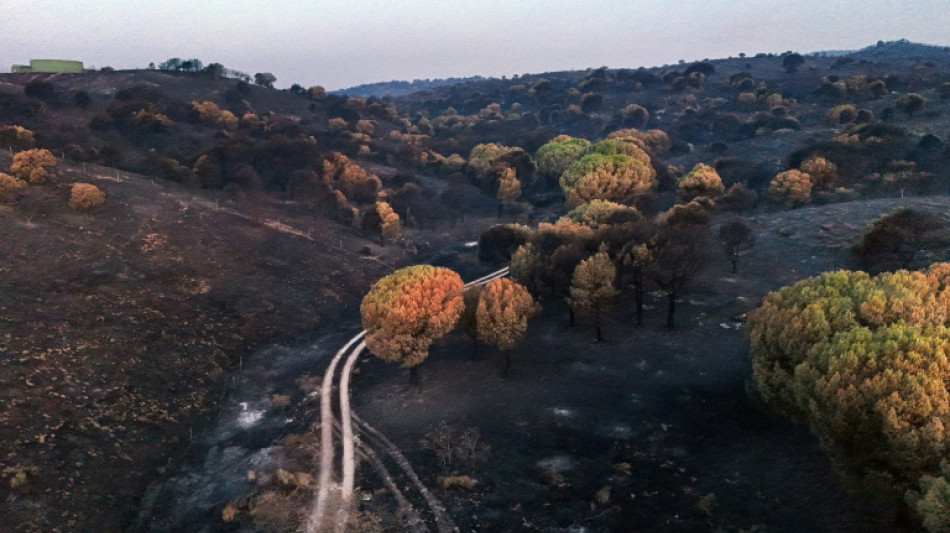 Espa&ntilde;a levanta la emergencia por los incendios cerca de Madrid