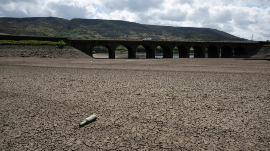 Over half of Europe and Mediterranean bassin hit by drought in mid-May