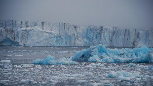 Nel 2025 l'Italia ospiterà la 'Davos dell'Artico'