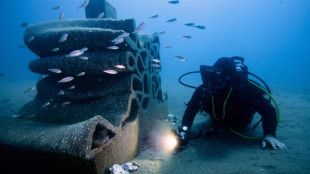 Las olas de calor marinas tienen un efecto m&iacute;nimo sobre la abundancia de peces