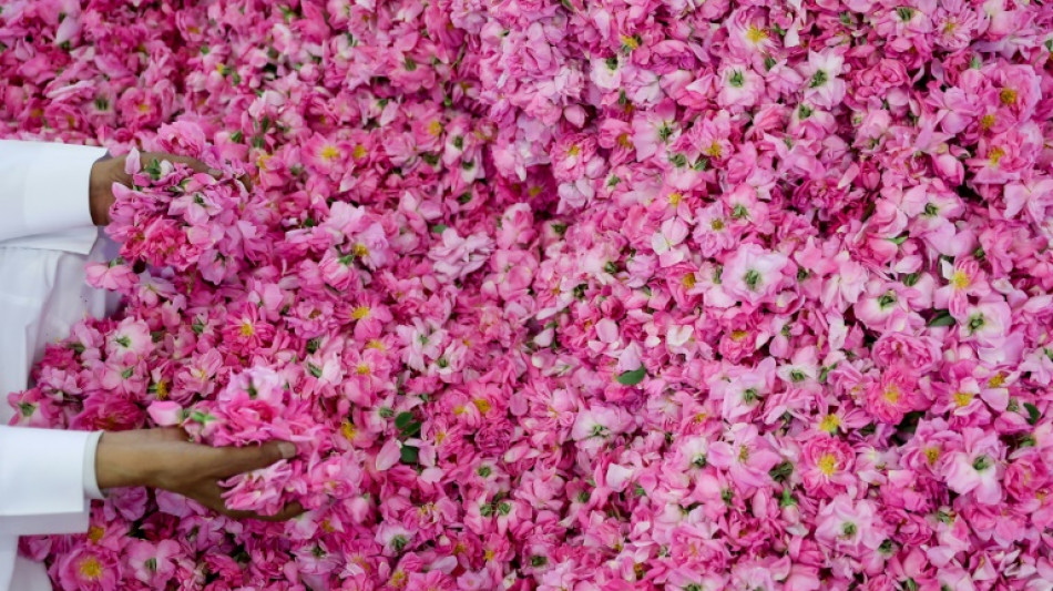 La "ciudad de las rosas", el secreto de la fragancia del desierto saudita