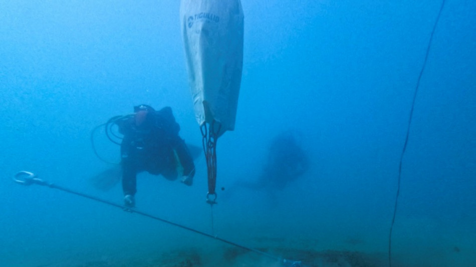 La Gr&egrave;ce se met &agrave; l'&eacute;comouillage pour prot&eacute;ger les herbiers des fonds marins