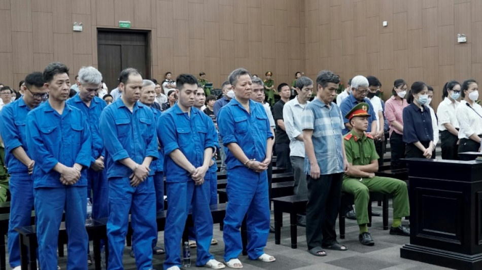 Vietnam jails 23 people over rare earths exploitation