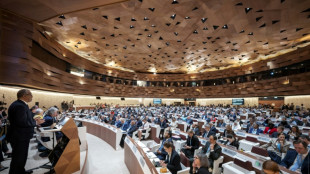 La OMS niega v&iacute;nculos del paracetamol y las vacunas con el autismo