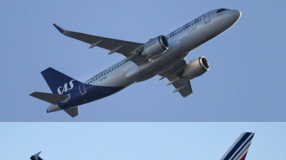Cap vers le nord pour Air France-KLM, en piste pour prendre le contr&ocirc;le de SAS