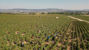 French champagne makers face prison in human trafficking trial