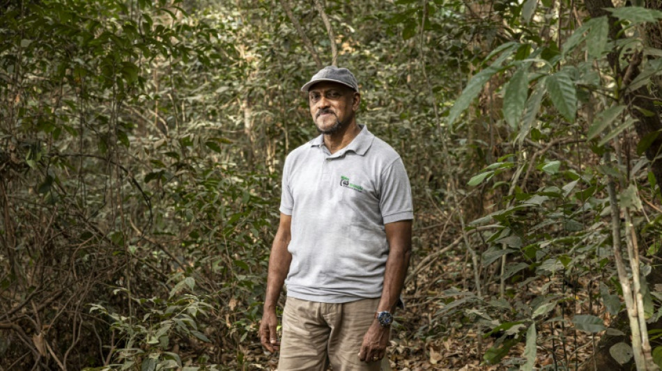 Bala Amarasekaran, une vie au chevet des chimpanzés de Sierra Leone