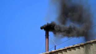 Cardinals to vote anew for pope after second black smoke