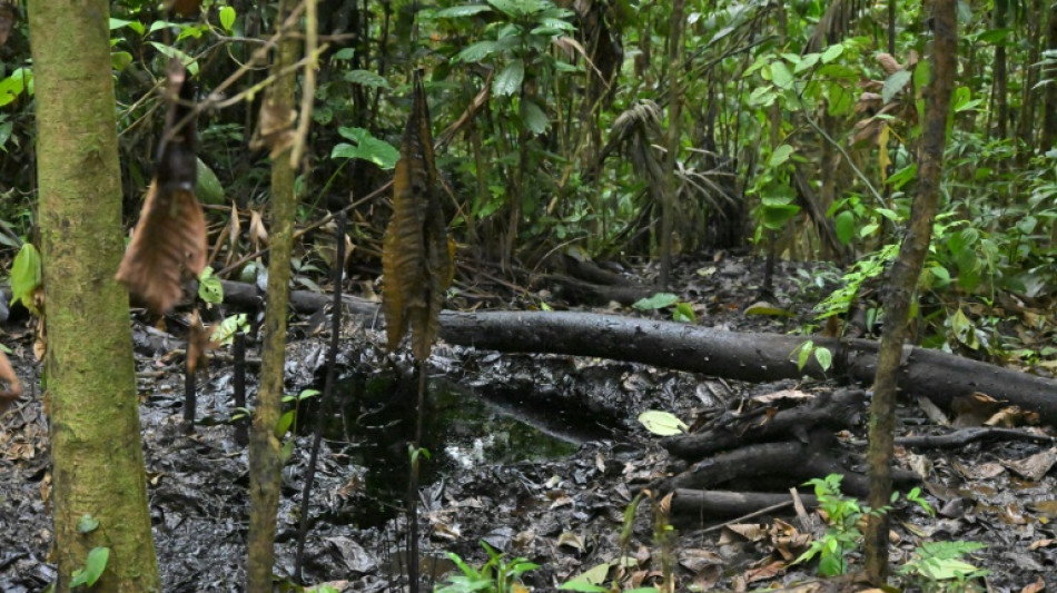 "Basta": El clamor de ind&iacute;genas ante la explotaci&oacute;n petrolera en la Amazon&iacute;a ecuatoriana