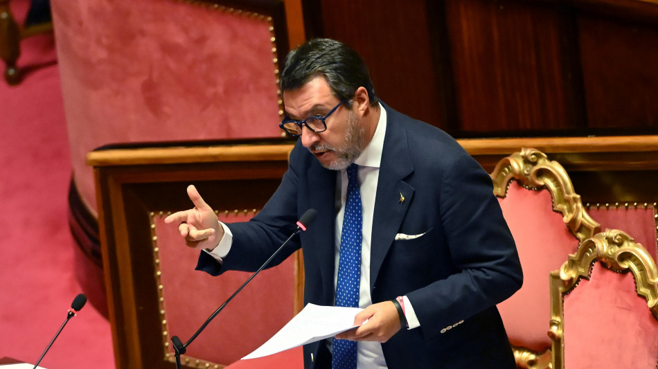 Salvini, il fanatismo islamico &egrave; il problema, stop spazi a Islam senza accordi