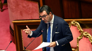 Salvini, il fanatismo islamico &egrave; il problema, stop spazi a Islam senza accordi