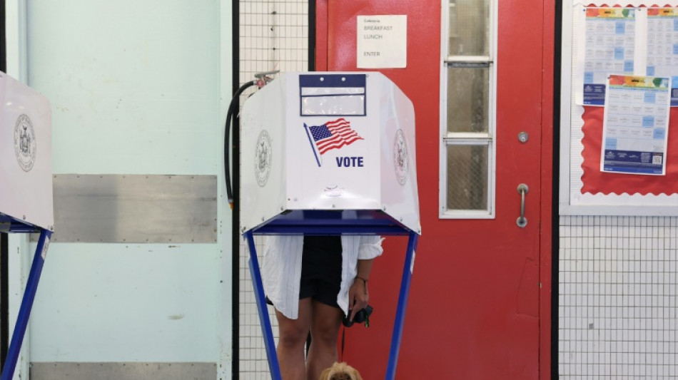 Una mujer en EEUU es acusada de registrar a su perra para votar