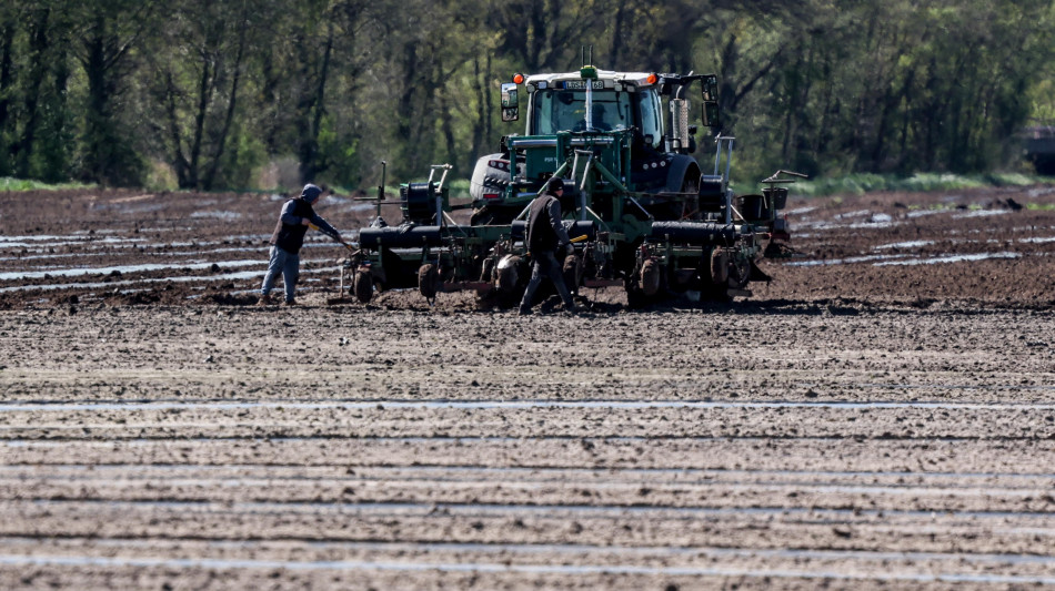 Agea, domande entro il 30 settembre per il bonus gasolio agricoltura