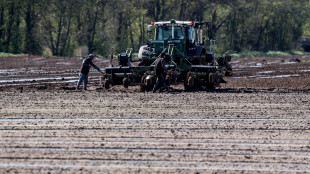 Agea, domande entro il 30 settembre per il bonus gasolio agricoltura