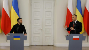Zelensky to skip key Ukraine conference in Poland over WWII row