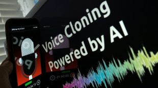 '20 minutes of terror': AI boosts US voice impersonation scams