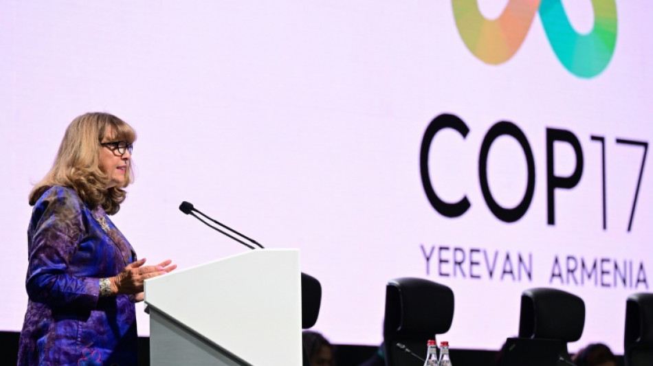 COP17 chega a acordos sobre textos fundamentais para proteger a natureza