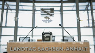 Industrie warnt vor AfD-Regierung in Sachsen-Anhalt