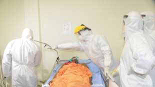 L'OMS appelle la Guin&eacute;e Equatoriale &agrave; signaler les cas de virus de Marburg