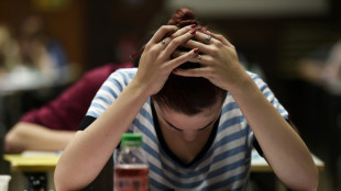 Bac: 535.000 &eacute;l&egrave;ves de premi&egrave;re vont plancher sur l'&eacute;preuve de fran&ccedil;ais