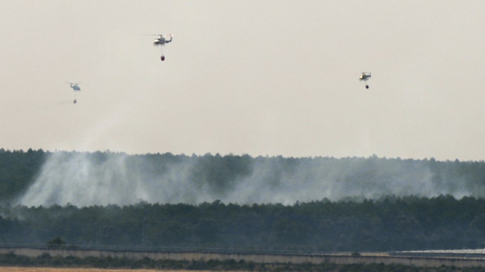 Les incendies ont dévasté 30.000 hectares supplémentaires en 24 heures en Espagne