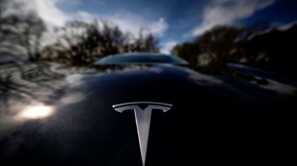 Las ventas de Tesla en la UE caen un 36% interanual en marzo