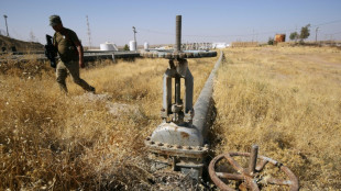El Kurdist&aacute;n rechaza la sentencia que le ordena entregar su petr&oacute;leo al gobierno de Irak