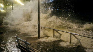 Schools shut, flights axed as Typhoon Ragasa nears Hong Kong, south China