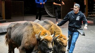 A Moscou, Ivan Deforge, le dresseur fran&ccedil;ais qui murmure &agrave; l'oreille des bisons