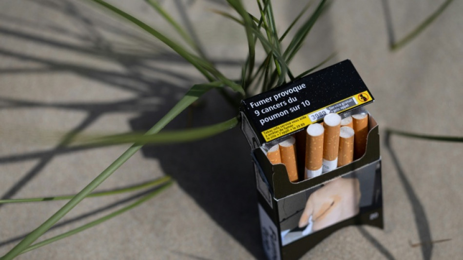 France bans smoking in beaches, in parks and bus shelters