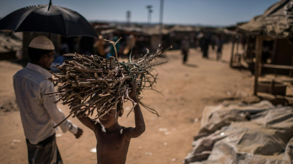 Bleak future for Rohingya, as Bangladesh seeks to tackle crisis 