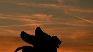 Os 21 filmes na disputa pelo Le&atilde;o de Ouro do 81&ordm; Festival de Veneza