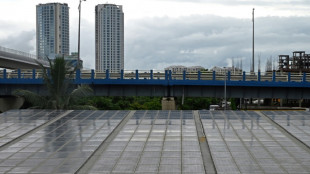 India must rapidly scale solar to reach renewable targets: study