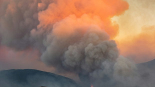 Incendie: les &eacute;vacu&eacute;s ont fui "un d&eacute;but d'apocalypse", Nu&ntilde;ez se rend sur place