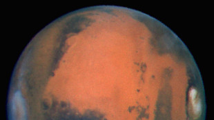 Marte, in due rocce scoperte centinaia di molecole organiche