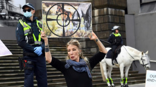 Australia reanudar&aacute; disparar desde el aire a caballos silvestres