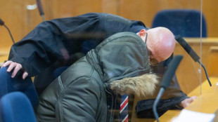 Alemanha condena s&iacute;rio &agrave; pris&atilde;o perp&eacute;tua por torturar opositores durante o regime de Assad