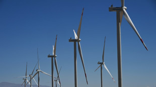 Chile busca investidores na Europa para seu projeto de hidrogênio verde