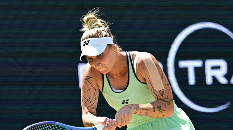 Tennis: Vondrousova holt den Titel in Berlin