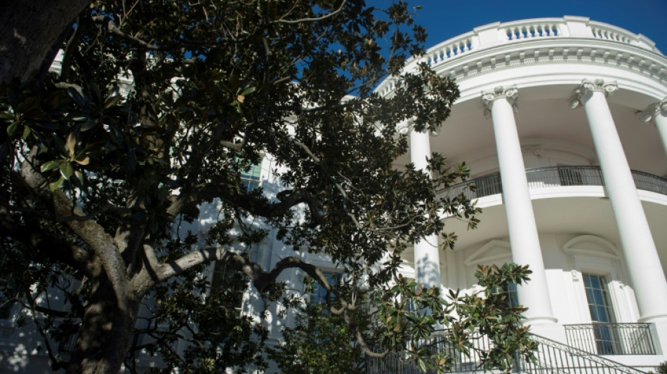 Storied but sickly, historic W.House magnolia to come down