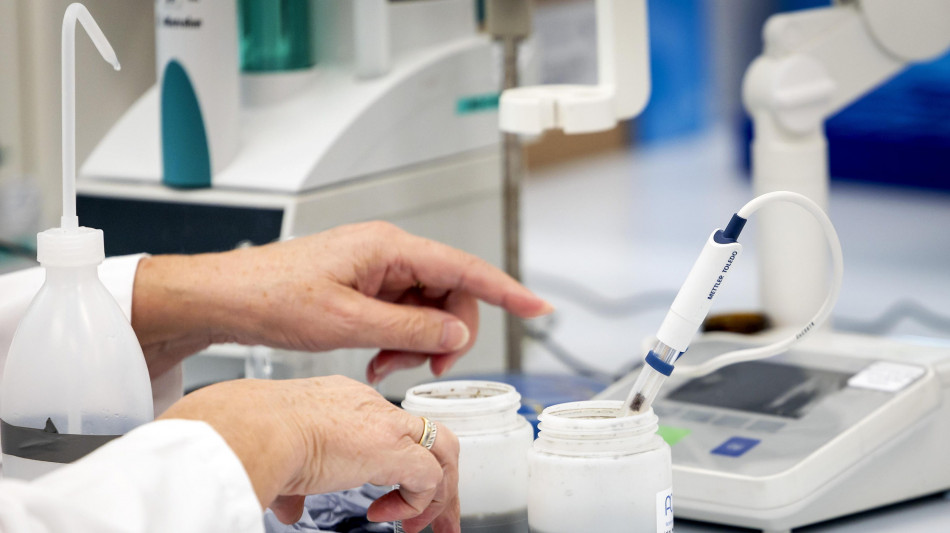 Gli 'Rna circolari' segnalano la leucemia linfatica cronica