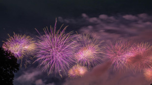 Aereo in atterraggio a Chicago urta fuoco d'artificio del 4 luglio, nessun danno
