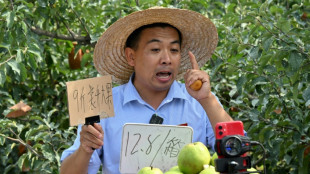 En Chine, des "n&eacute;o-paysans" devenus influenceurs pour promouvoir le terroir