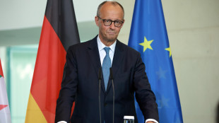 Merz scarica capogruppo Cdu diventato padre con maternit&agrave; surrogata, Spahn si dimette