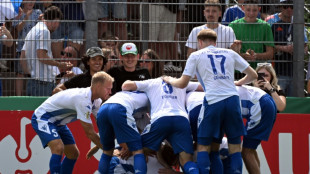 Nach Kraftakt: HSV verhindert Pokal-Blamage